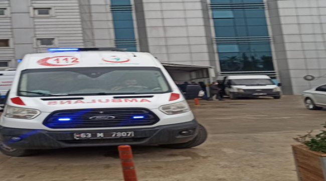 Urfa'da arının soktuğu kişi öldü