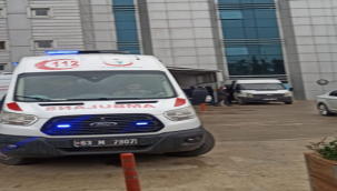 Urfa'da arının soktuğu kişi öldü