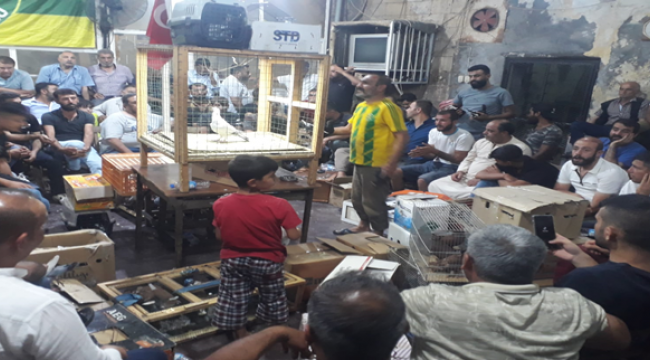 Urfa'da kuş ihalesine büyük rağbet