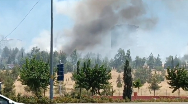 Urfa'da orman yangını 