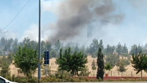 Urfa'da orman yangını 