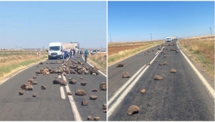 Viranşehir'de elektrik kesinti protestosu!