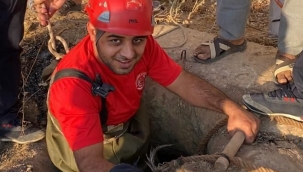 İtfaiyeden kedi kurtarma operasyonu 