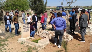 Şanlıurfa'da 5 kişi hayatını kaybetti!	