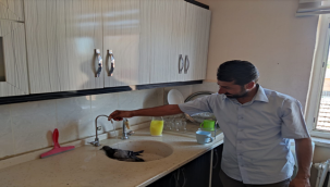 Sıcaktan Bunalan Güvercin Müftülük Binasına Sığındı