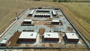 Sokak Hayvanları Rehabilitasyon merkezi tamamlandı 