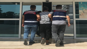 Urfa'da aranan şahıslara operasyon