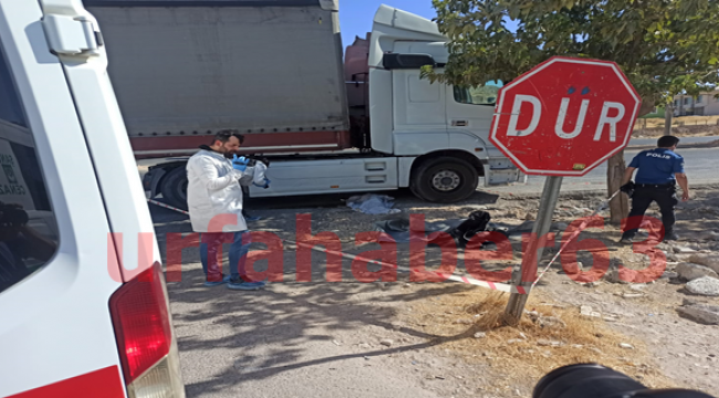 Urfa'da feci kaza, 1 ölü