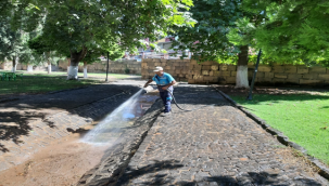 Viranşehir Belediyesinden Parklarda Bakım ve Budama Çalışması