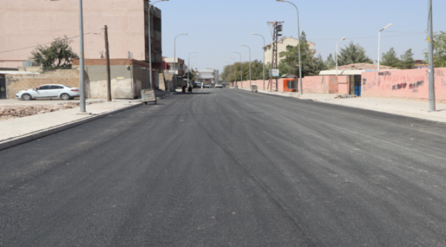 Viranşehir'de Asfalt Seferberliği Başladı