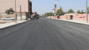 Viranşehir'de Asfalt Seferberliği Başladı