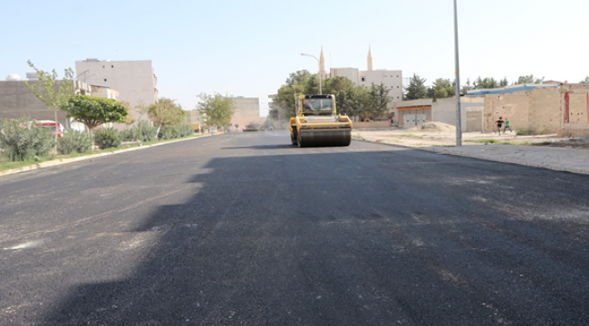 Viranşehir'de Sıcak Asfalt Seferberliği Aralıksız Devam Ediyor