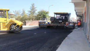 Viranşehir Hizmette Altın Çağını Yaşıyor