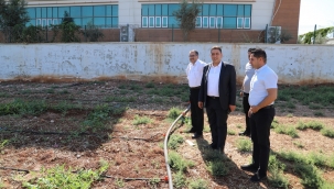 Amatem de "hobi bahçesi ile tarla terapisi "uygulanıyor