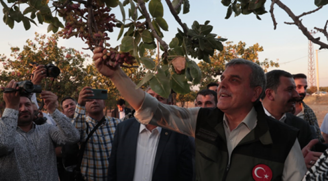 Başkan Beyazgül, "Dünya'da Fıstığın Merkezi Şanlıurfa'dır"