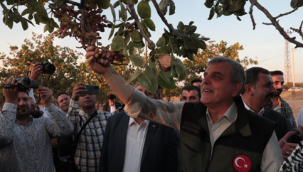 Başkan Beyazgül, "Dünya'da Fıstığın Merkezi Şanlıurfa'dır"