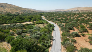 Büyükşehir'den İki İlçede Sathi Asfalt Çalışması 