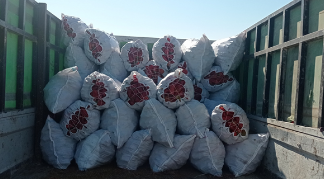 Ev isotun fiyatı dudak uçuklatıyor