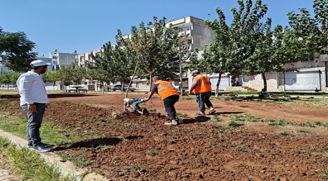 Eyyübiye Parklarında Sonbahar Çalışması
