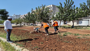 Eyyübiye Parklarında Sonbahar Çalışması