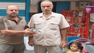 Gece Balıkçılı kuşu tedavisinin ardından doğaya bırakıldı