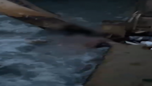 Haliliye'de bulunan ceset kayıp çocuğa ait çıktı