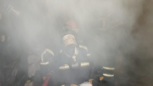 Haliliye'de unutulan ateş yangına neden oldu