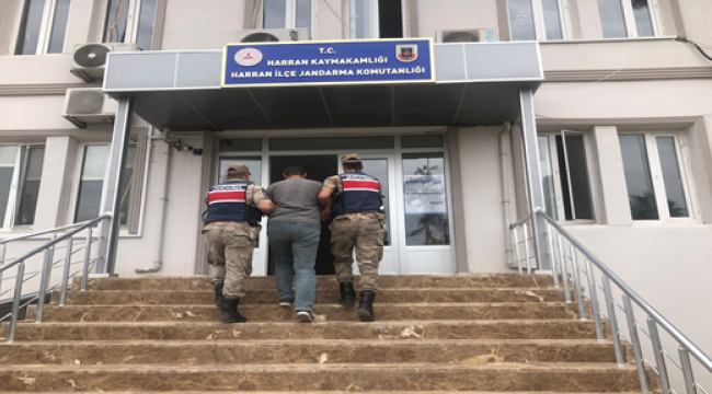 Harran'da kesinleşmiş hapis cezası bulunan FETÖ üyesi yakalandı
