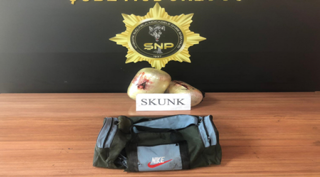 Şanlıurfa'da 5 kilo 550 gram skunk ele geçirildi