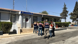 Şanlıurfa'da fıstık hırsızları kovalamaca sonucu yakalandı 