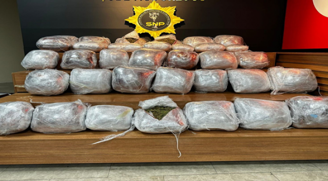 Şanlıurfa'da kökünü kurutma operasyonu, 11 tutuklama