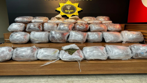 Şanlıurfa'da kökünü kurutma operasyonu, 11 tutuklama