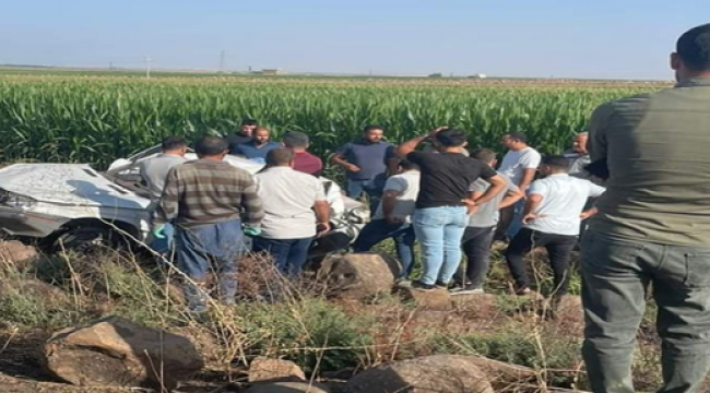 Şanlıurfa'da Mısır tarlasına devrildi, 1 ölü 