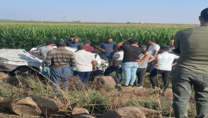 Şanlıurfa'da Mısır tarlasına devrildi, 1 ölü 