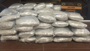 Şanlıurfa'da uyuşturucu operasyonu, 4  gözaltı