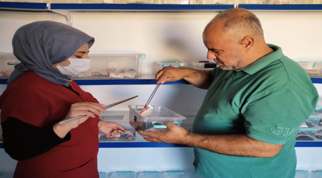 Şanlıurfa'da zehir üretip satıyor!
