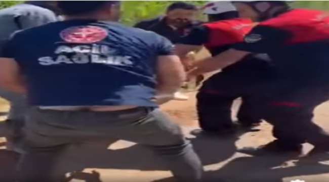 Suruç'ta iki otomobil kafa kafaya çarpıştı, 4 yaralı