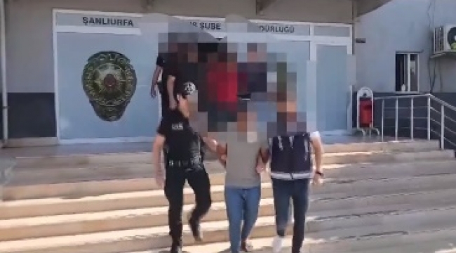 Urfa'da bir ayda 87 gözaltı