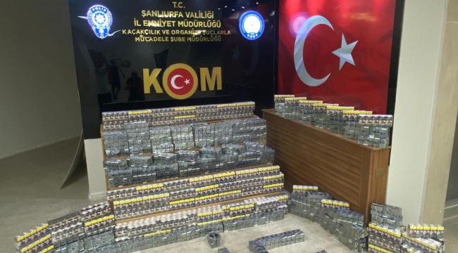 Urfa'da sis operasyonu