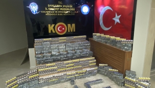 Urfa'da sis operasyonu