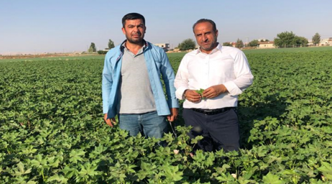 Urfalı çiftçi rahat bir nefes alacak
