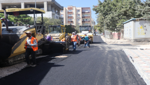  Viranşehir'de Sıcak Asfalt Atağı Sürüyor  