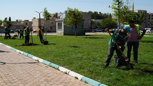 Yemyeşil Bir Haliliye İçin Ağaçlandırma Çalışmaları Sürüyor 