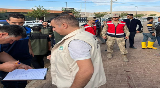 Eyyübiye'de kaçak et kesim yerlerine denetim