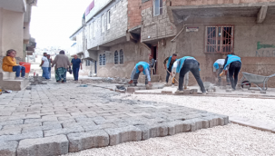 Eyyübiye Mahalleleri Kışa Hazırlanıyor