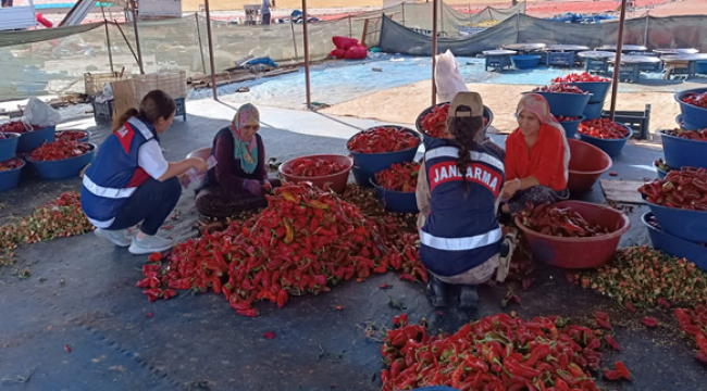 Jandarma KADES uygulamasının tanıtımını yaptı