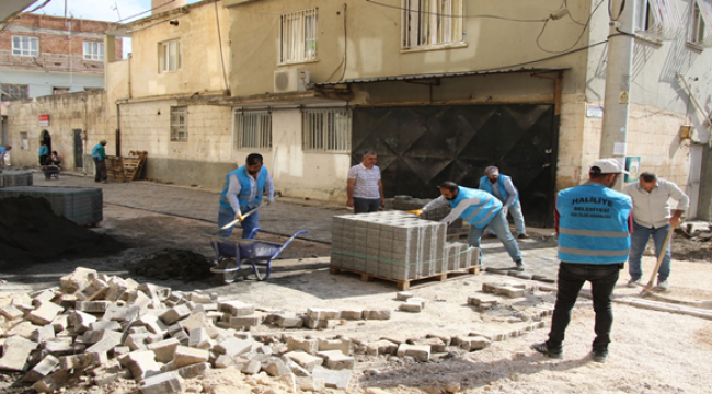 Mahalle Muhtarları, Hizmetlerden Ötürü Başkan Canpolat'a Teşekkür Etti 