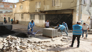 Mahalle Muhtarları, Hizmetlerden Ötürü Başkan Canpolat'a Teşekkür Etti 