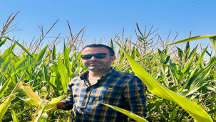 Mısırda taban fiyat 9,74 lira olmalı