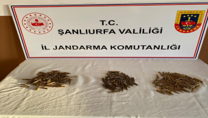 Şanlıurfa'da 11 adrese eş zamanlı silah operasyonu!